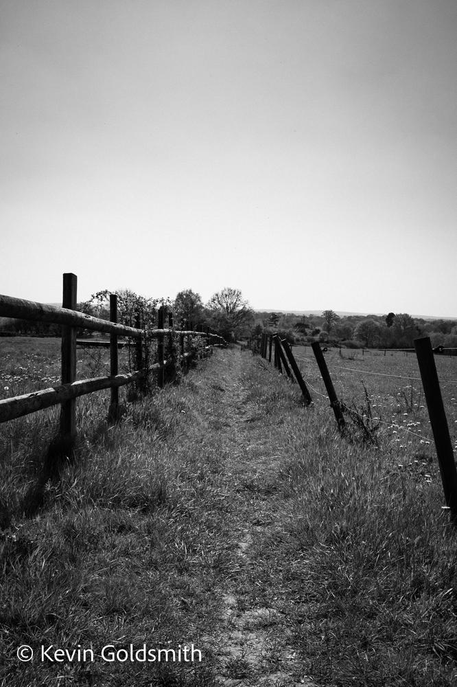 20190420-DSCF2841